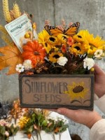 458828441_7460459337388566_7230171423500734859_n