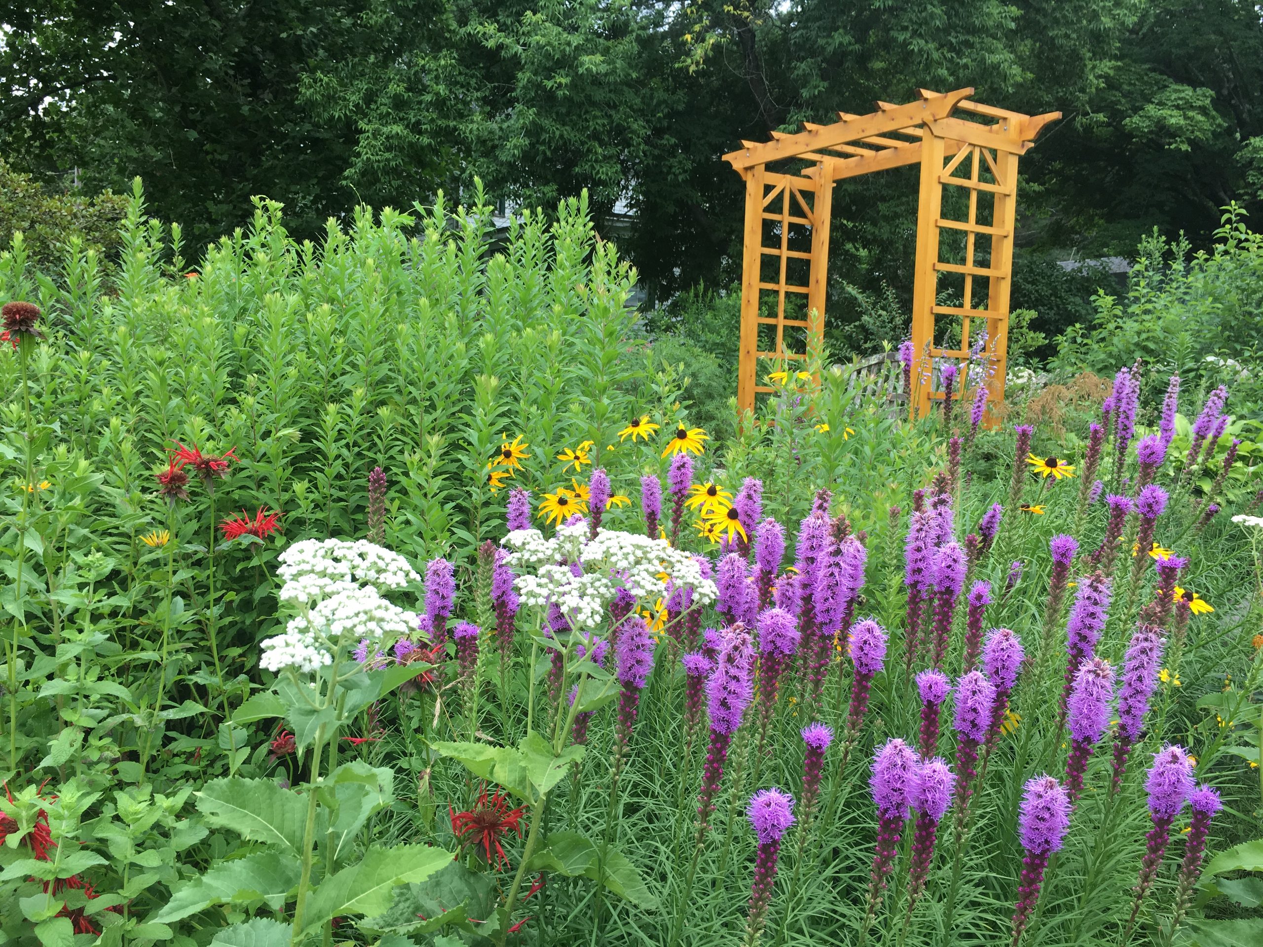 The Garden Club has a new website!